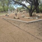 Gallery 20241201 113553